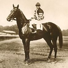 Tribute to Man O` War Race Horse