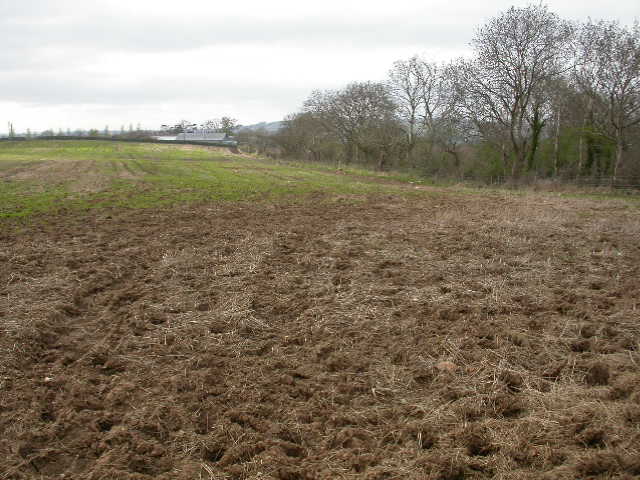 Manage Mud in Your Horse Pasture