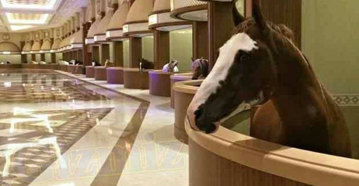 Luxury Marble Palace for Horses @Heilan Equestrian Club in Xinqiao Town