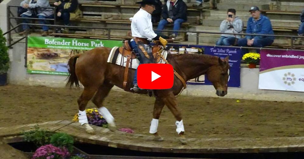 Mark Bolender Extreme Trail Bridleless Horse Timed Event - Crazy Fun