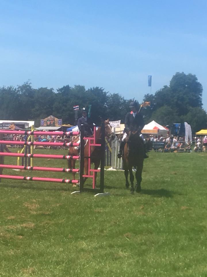 Mark Edwards Showjumper