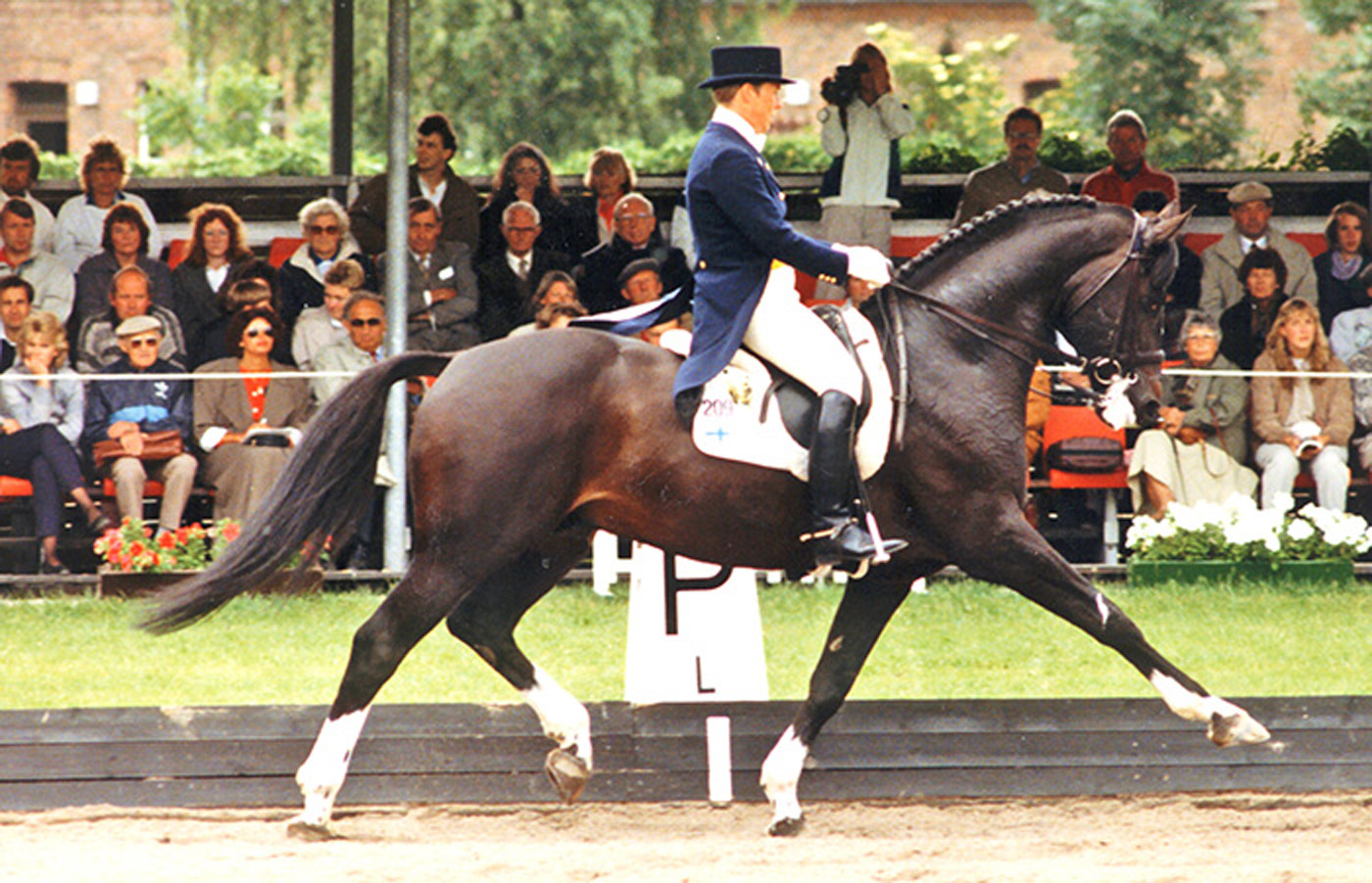 Matador
