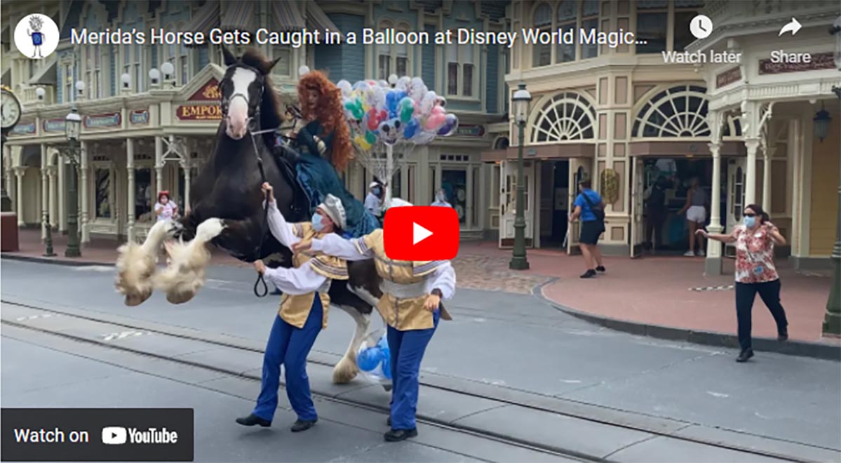 Meridas Horse Gets Caught in a Balloon at Disney World Magic Kingdom During Small Princess Parade
