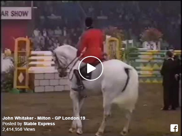 Milton Showjumper