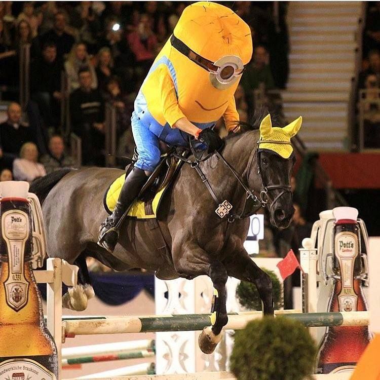 Minion Showjumping