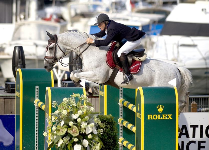 Modesto - Showjumping Stallion