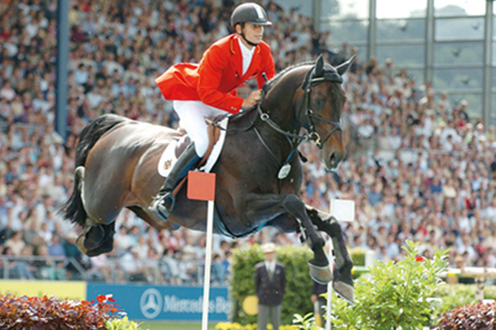 Montender - Showjumping Stallion