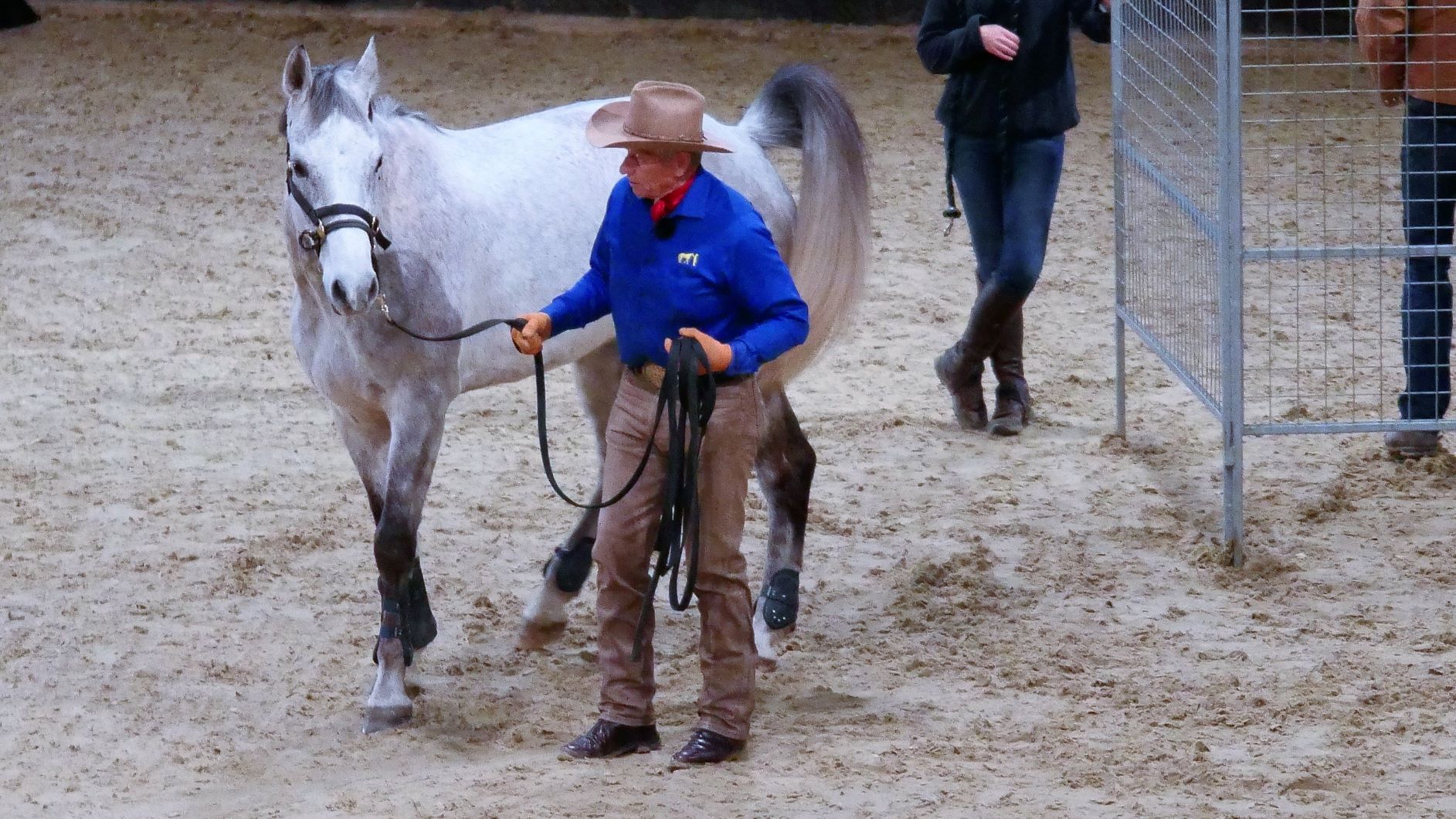 Monty Roberts Puts First Saddle, Bridle and Rider Up