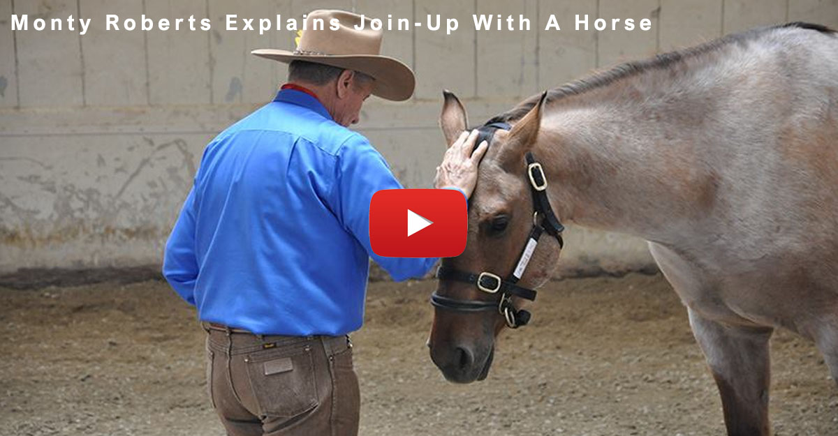 Monty Roberts Explains Join-Up With A Horse