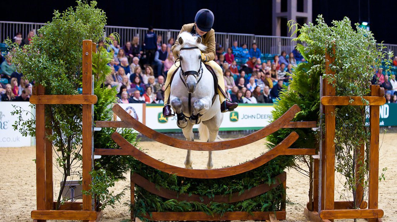 Mountain and Moorland Pony Showing