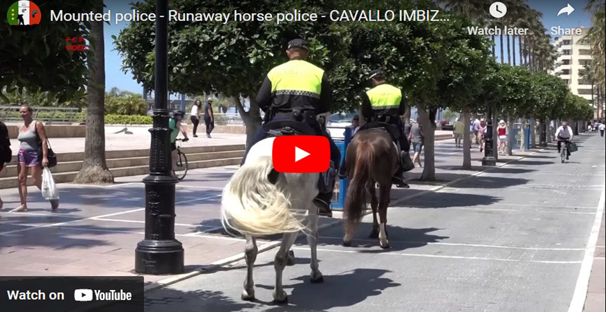 Mounted Police Officer Stays Calm And Confident While On Patrol With Agitated Horse
