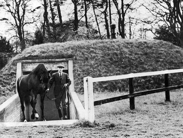 Nearco - Race Horse