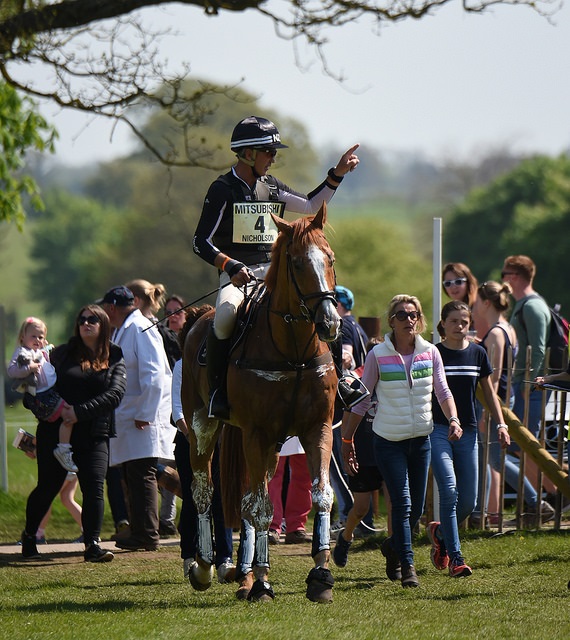 Nereo - Badminton Horse Trials