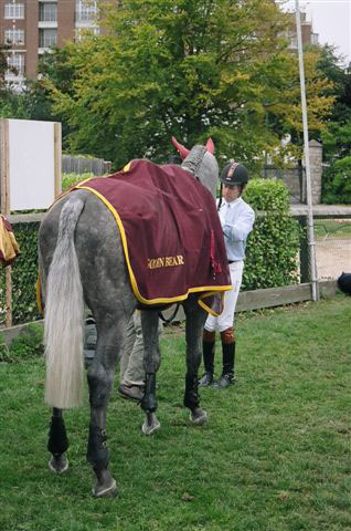 Stallion Russel - Nick Skelton