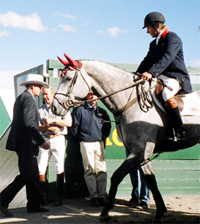 Nick Skelton Stallion Russel