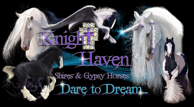 Night Have Shires and Gypsy Horses