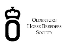 Oldenburg horses