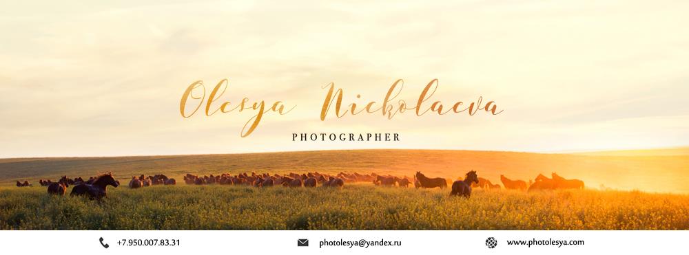 Olesya Nickolaeva - Horse Photography