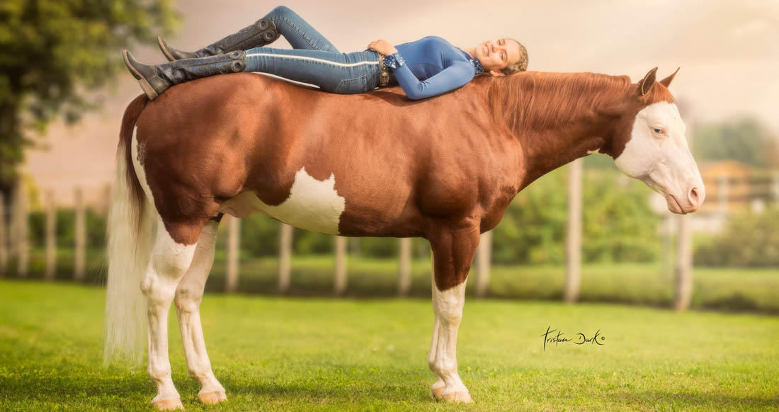 One Gun - Paint Horse Reining Stallion