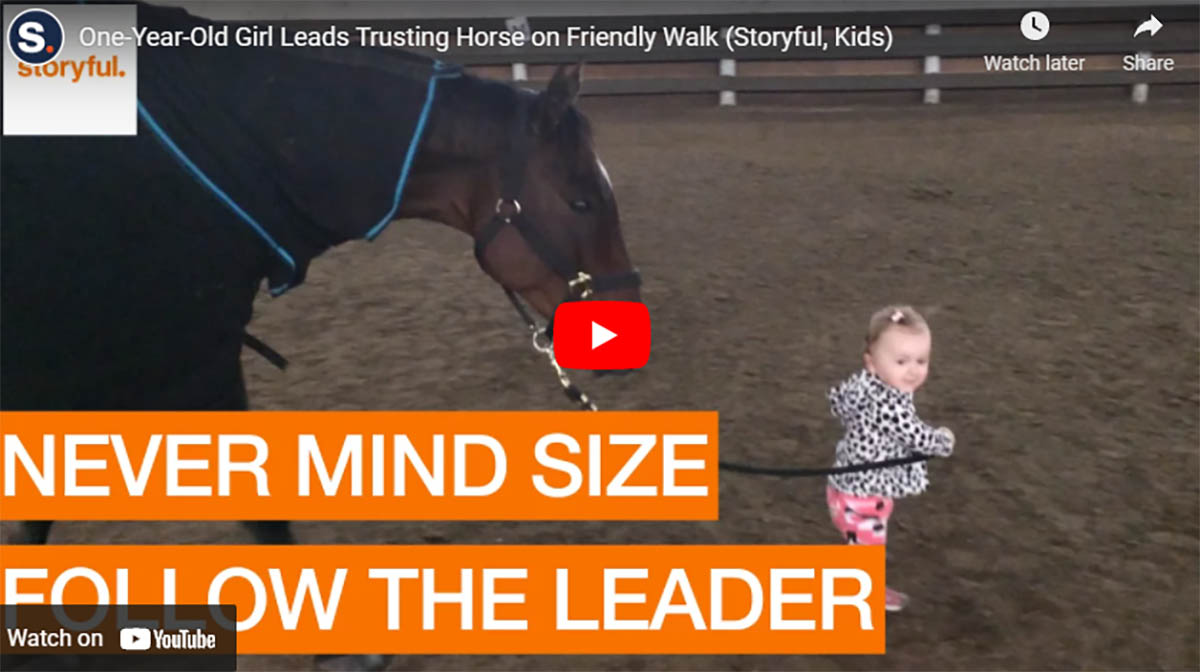 One-Year-Old Girl Leads Trusting Horse on Friendly Walk