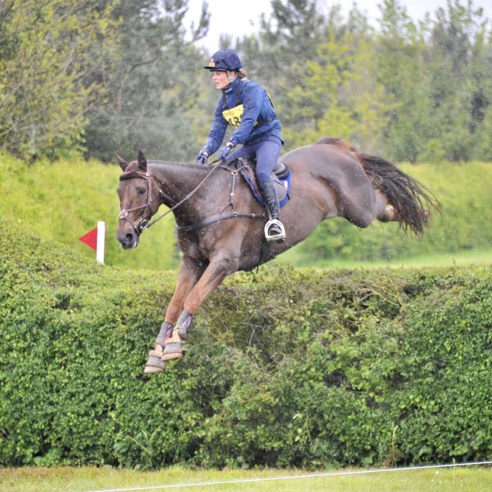 Outfoxed - Eventers For Sale