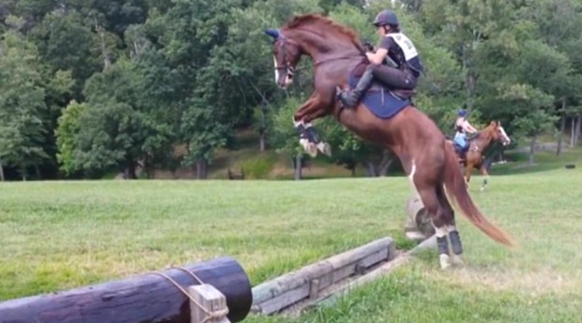 This Horse Literally Defines Overdramatic