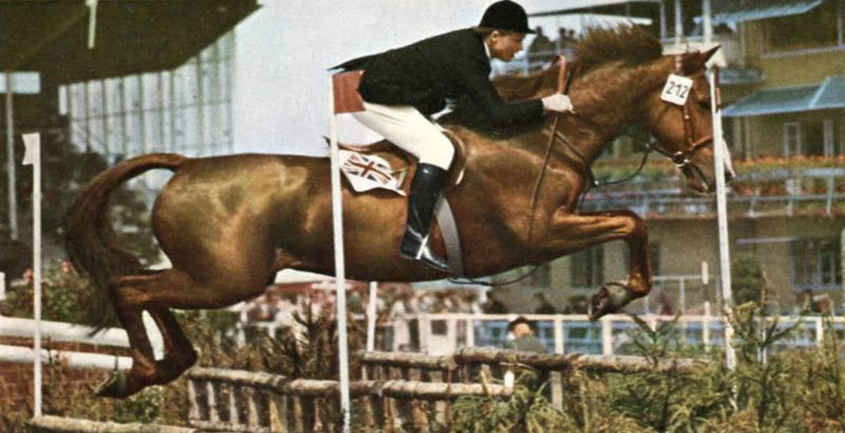 Pat Smythe - A Legendary Showjumper