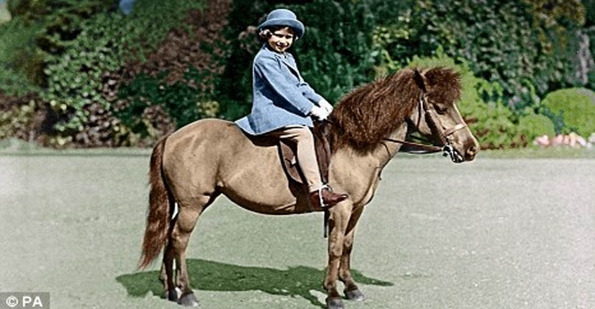 Meet Peggy The Shetland Pony Who Began The Queens Love Affair Of Horses