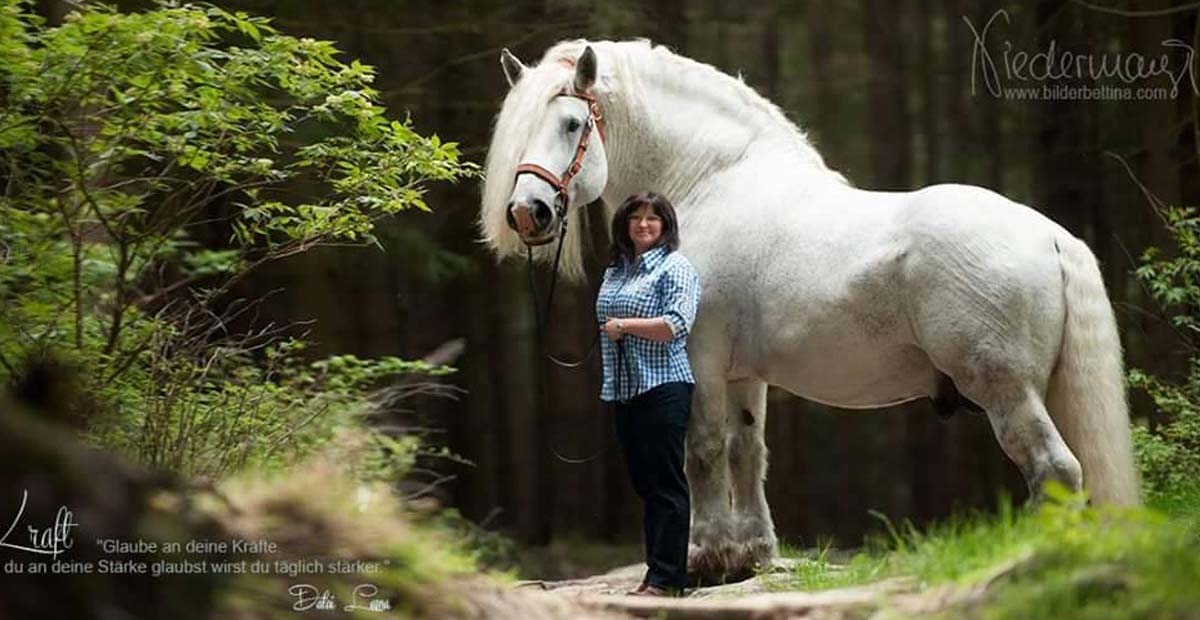 Now That Is A Big Strong Horse... @Percheron Stallion, Plannur