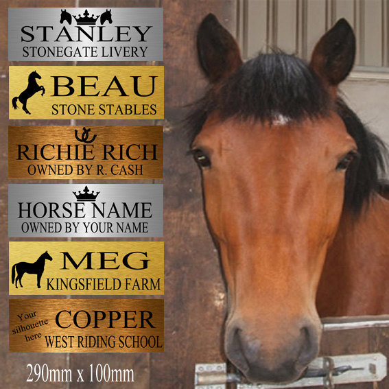 PIEBALD STABLE HORSE NAME OWNER PLAQUE Large Brushed Gold or Silver Aluminium 