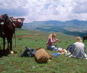 A romantic ride and picnic