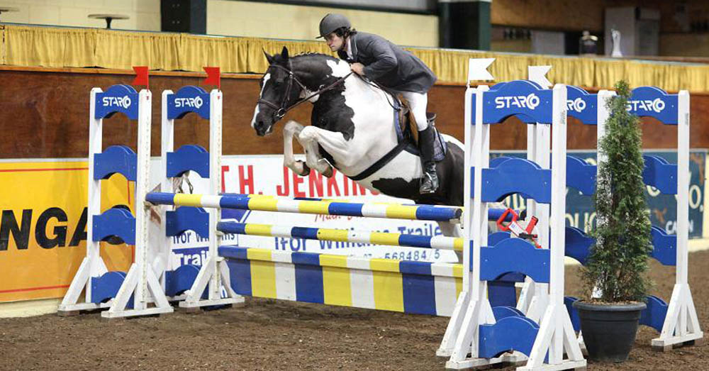 Corrib Cavalier - Piebald Warmblood