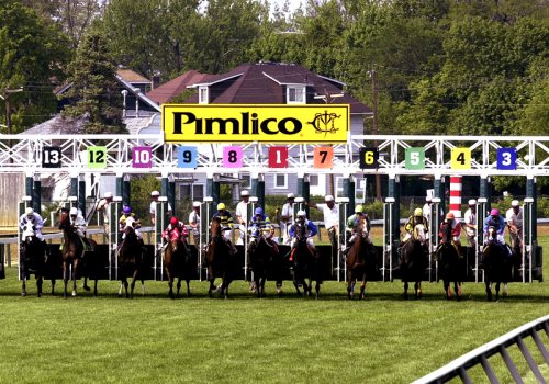  Pimlico  Horse Racing