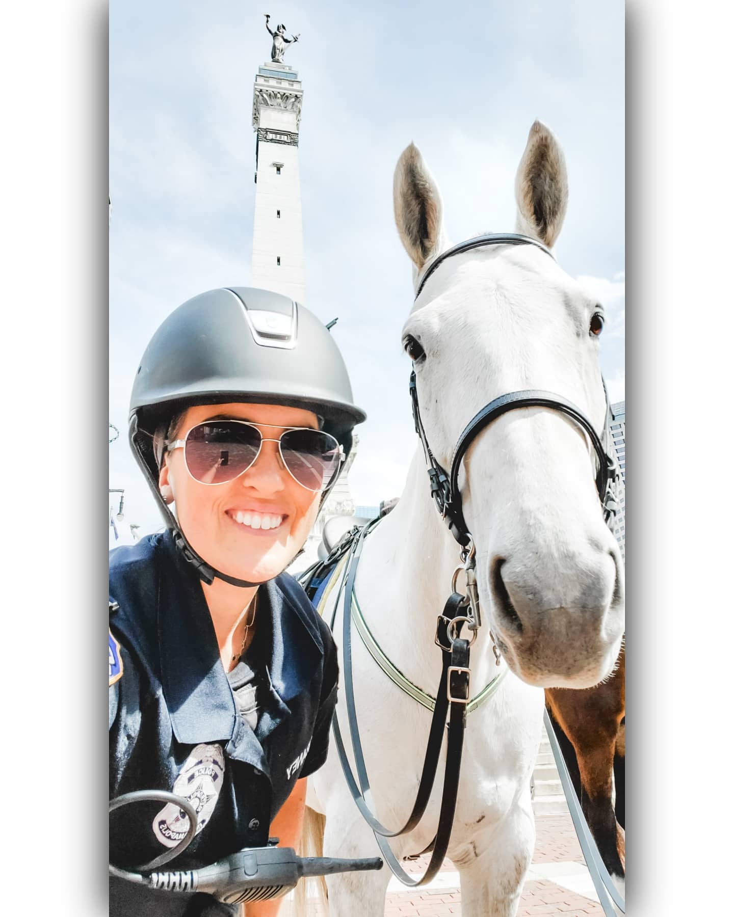 Finnegan The Police Horse - Confidence Comes From Discipline And Training