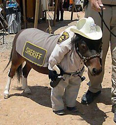 Mounted Police Around The World