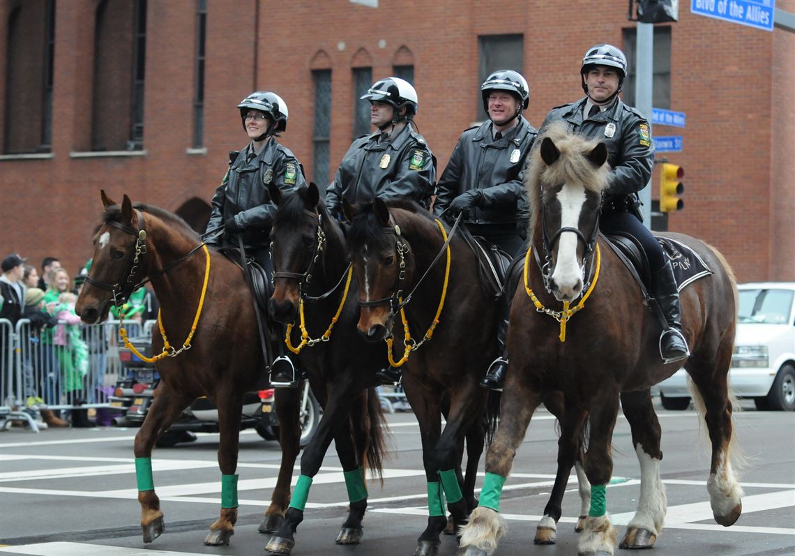 Police Horses