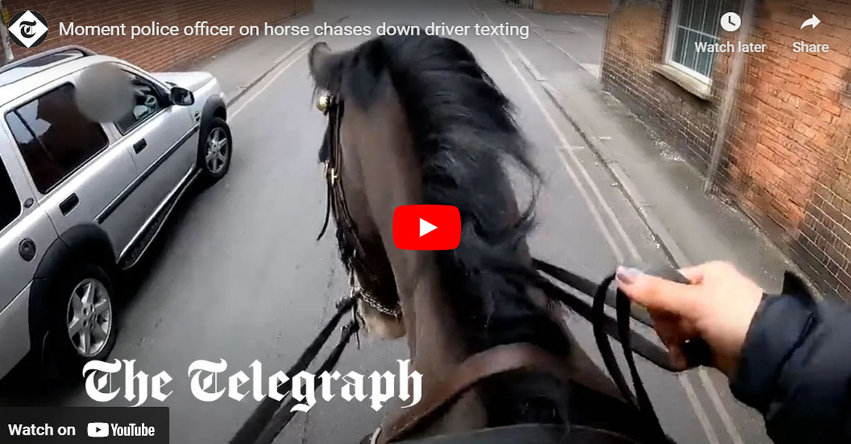 Police Officer On Horse Chases Down Driver Texting