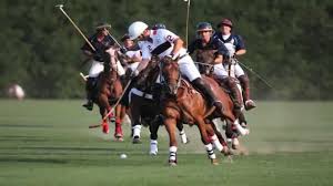 Polo Riding 