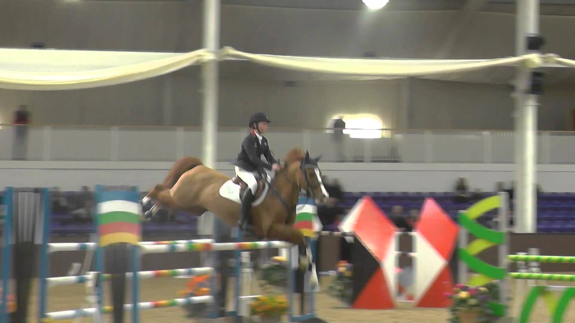 Pony Riders - Showjumping