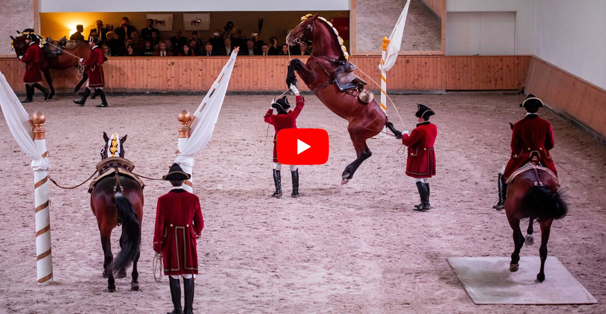 The Gala at the Portuguese School of Equestrian Art in Lisbon - A Tribute to Portuguese Equitation