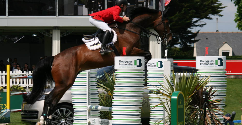 Priam du Roset (Plot Blue x Tanael Du Serein), competed by German showjumper Marcus Ehning