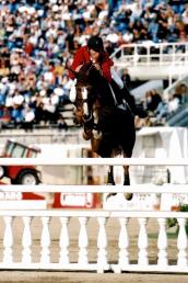 Priamos - Showjumper