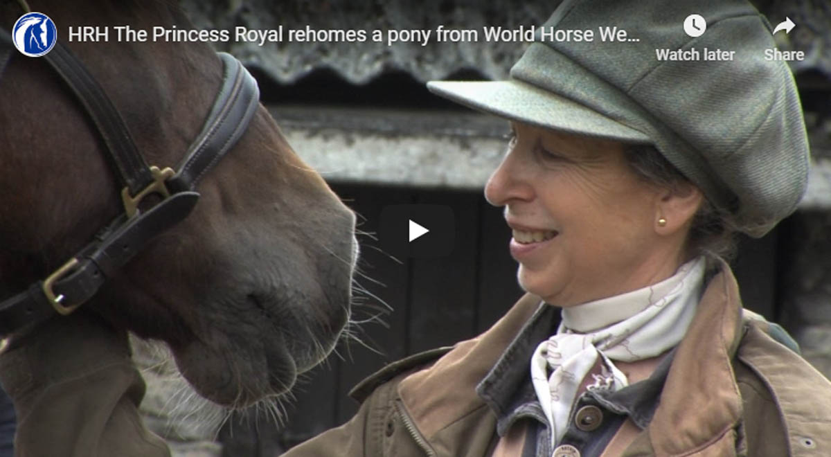 HRH The Princess Royal rehomes a pony from World Horse Welfare