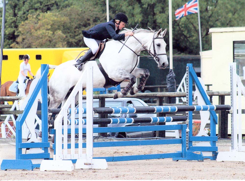 Promising Showjumper