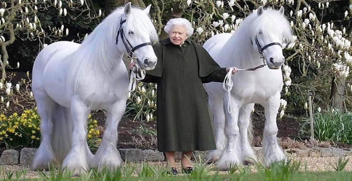 Queen Elizabeth Still Living Her Best Life Riding Her Horse