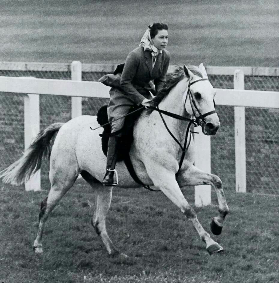 Queen Elizabeth on Surprise at Ascot in 1961