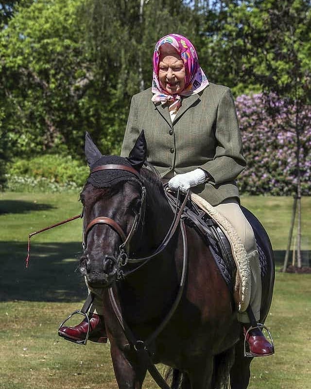 Queen Elizabeth - Horses