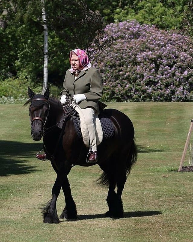 Queen Elizabeth - Horses