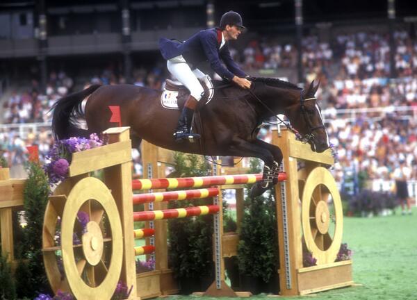 Quito-de-Baussy-Showjumper