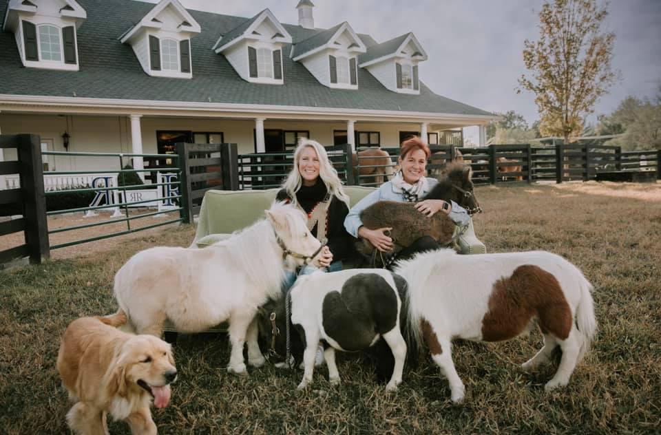 RandR Ranch Miniature Horses, Missouri